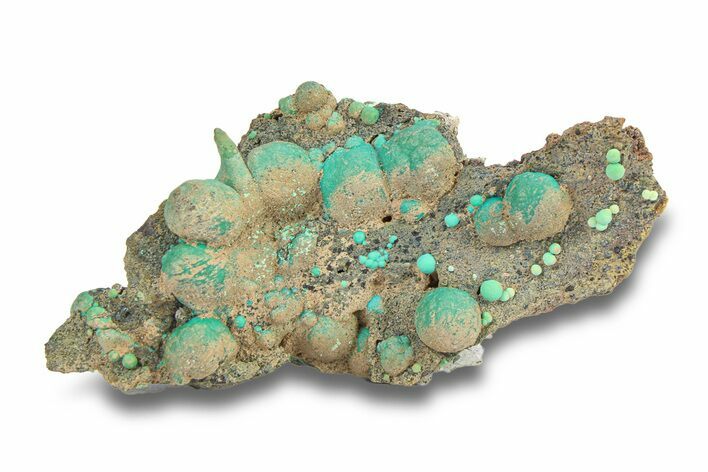Deep Teal Botryoidal Chrysocolla - Planet Mine, Arizona #283872